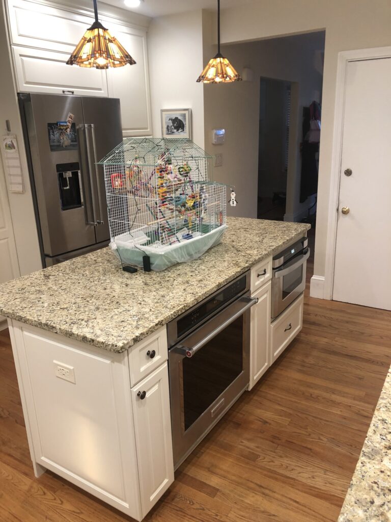 Newton Victorian Kitchen – photo 2 of 50