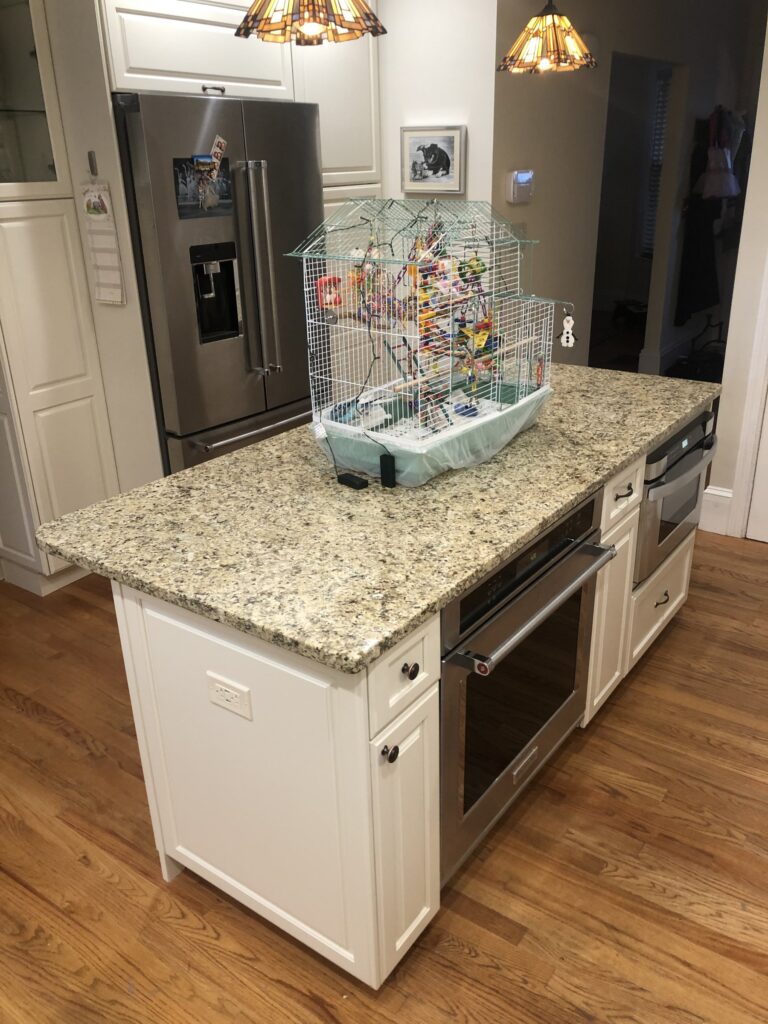 Newton Victorian Kitchen – photo 20 of 50