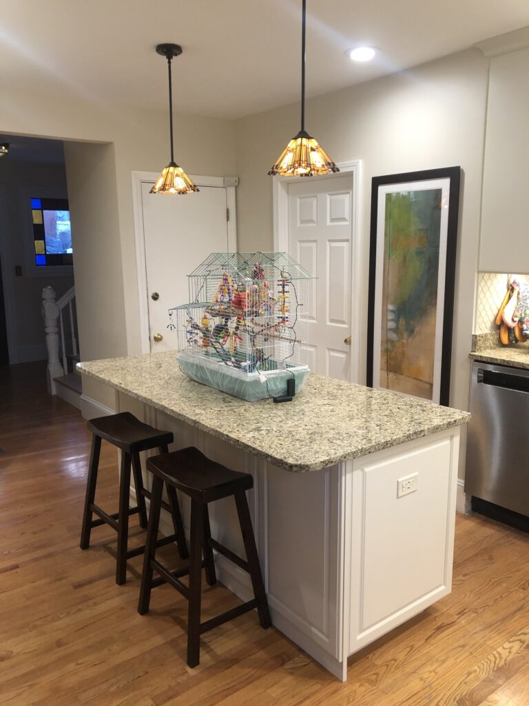 Newton Victorian Kitchen – photo 21 of 50