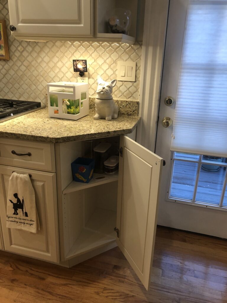Newton Victorian Kitchen – photo 48 of 50