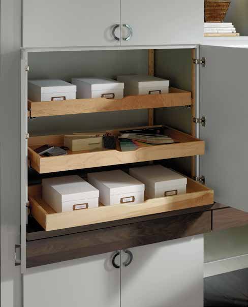 Painted Omega cabinetry with walnut roll-out accents built as one component