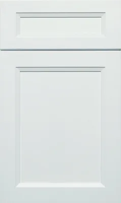 Samara B5 Pure door