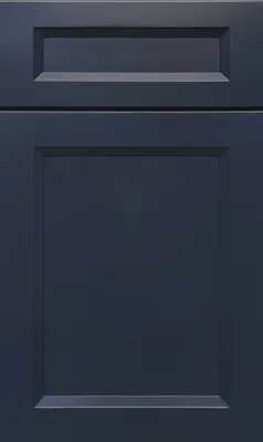 Samara B7 Naval door