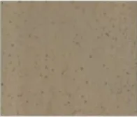 Omega Pumice · Maple